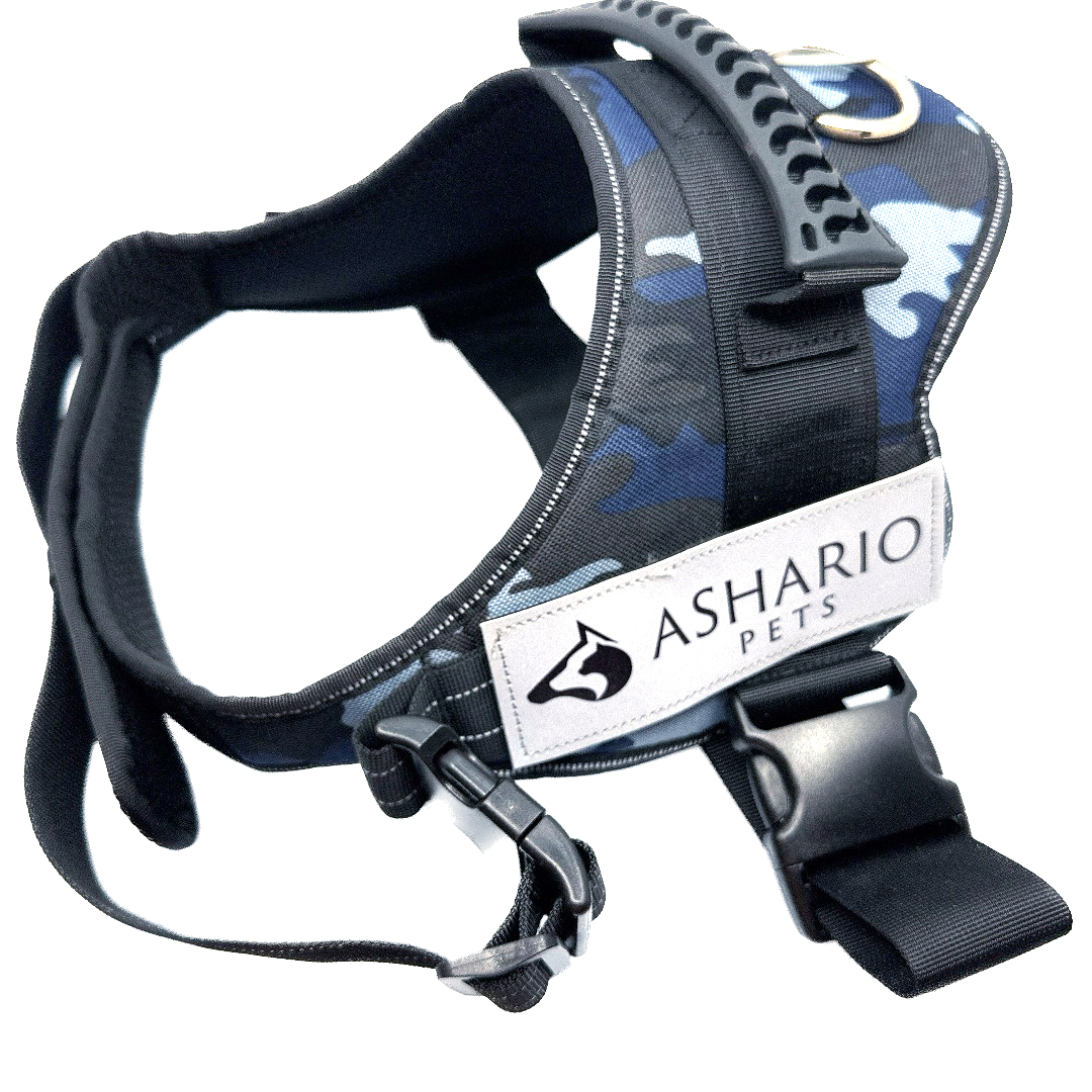 Ashario Pets TactiHarness for small dogs in blue camouflage with padded straps and secure buckle
