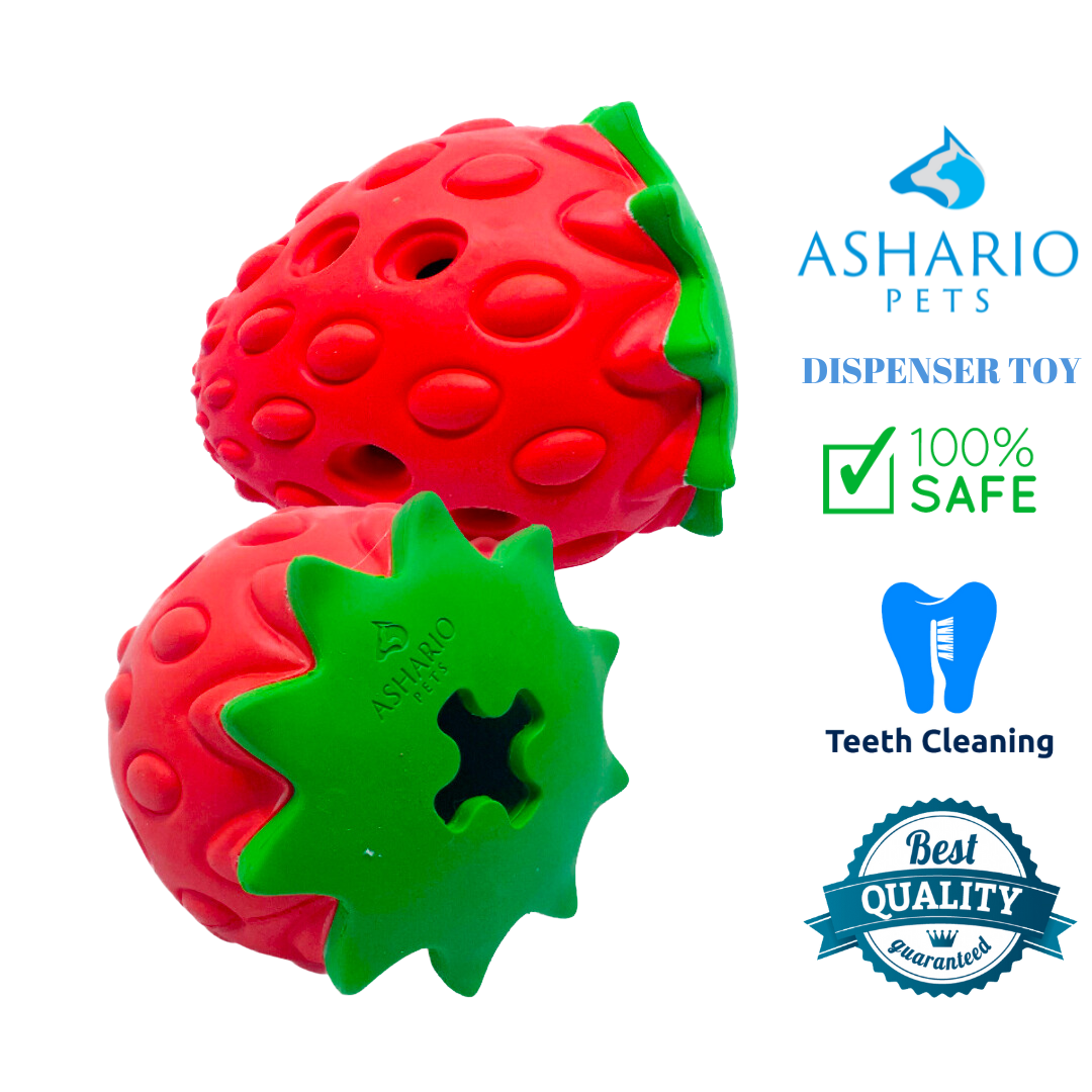 Ashario Strawberry Pet Dispenser Toy for dogs, safe design promotes teeth cleaning and playtime fun