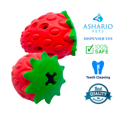 Ashario Strawberry Pet Dispenser Toy in red for dogs, designed for safe play and teeth cleaning