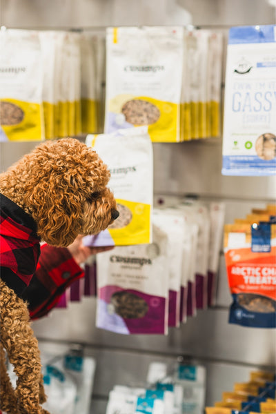 Dog exploring Crumps' Natural Beef Liver Mini Trainers for Dogs displayed on a store shelf