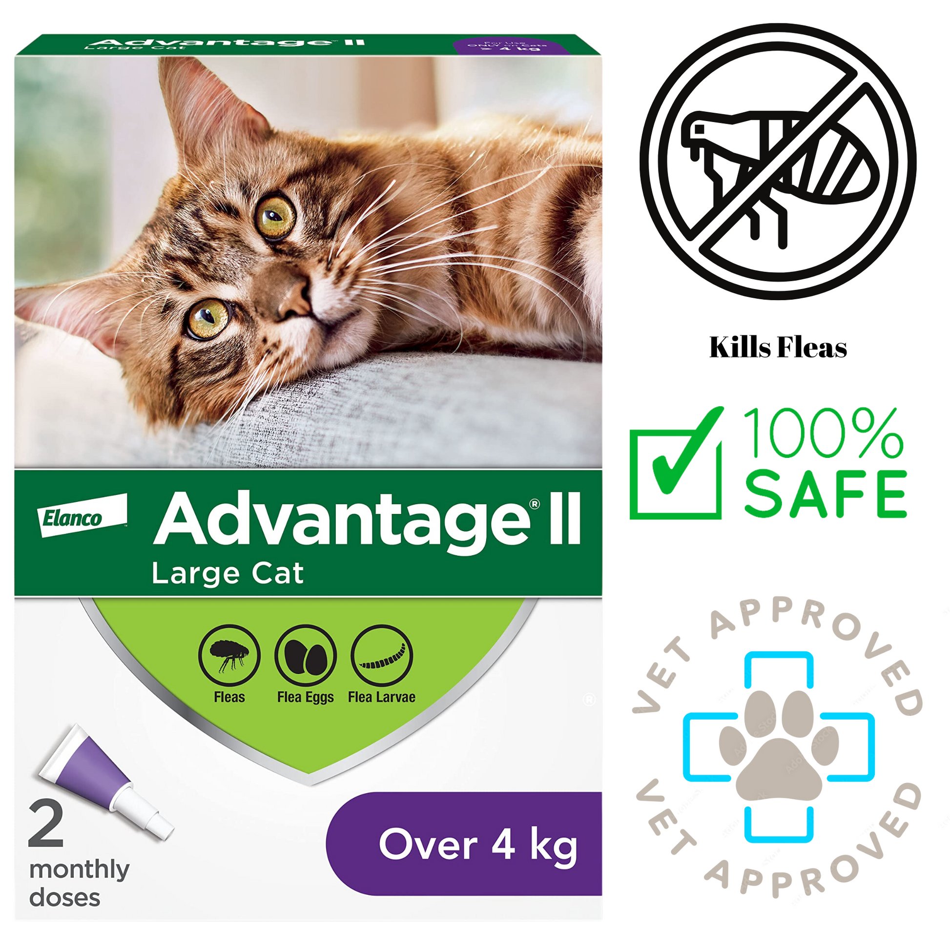 Advantage II flea medicine for cats over 4kg box with image of a large tabby cat and vet approved icons