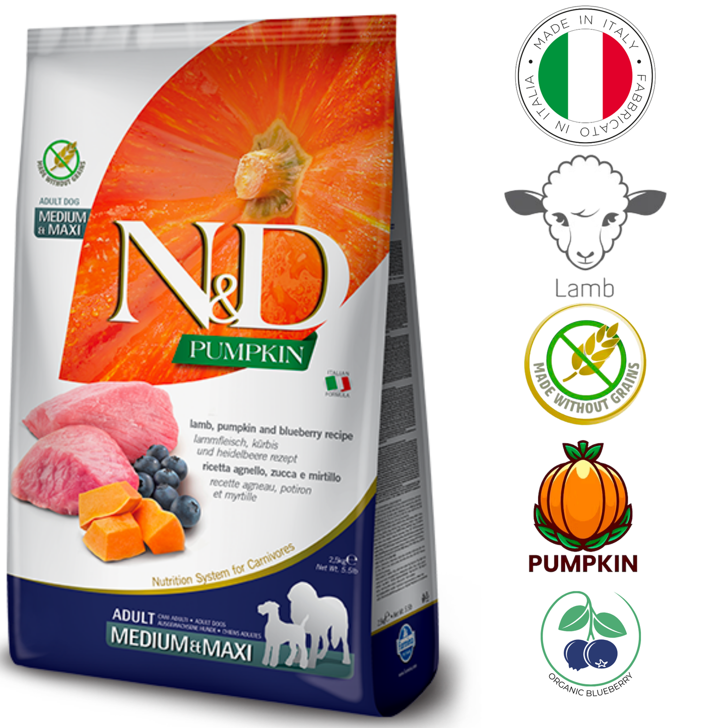 Farmina lamb blueberry dog food in a bag featuring lamb, pumpkin, and blueberry recipe for adult dogs