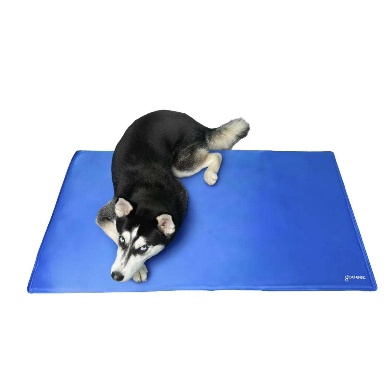Black and white husky lying on blue gooeez extra large dog cooling mat for pet comfort