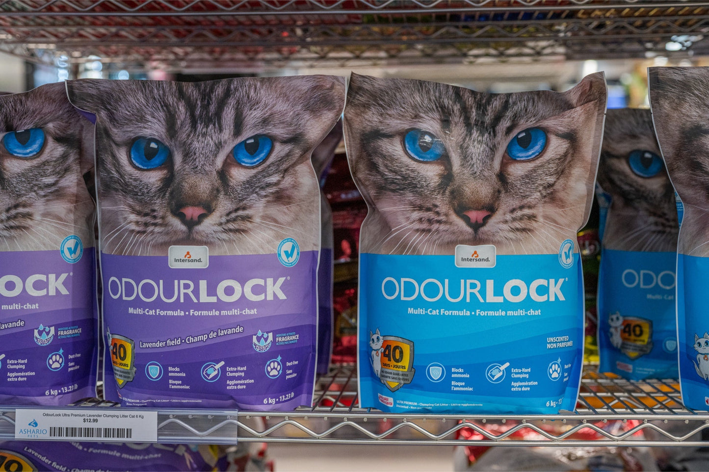 OdourLock unscented cat litter bag featuring a graphic of a cat with blue eyes for effective odor control