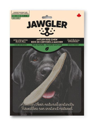 Jawgler Antler Dog Chew natural toy designed for long-lasting dental health in dogs