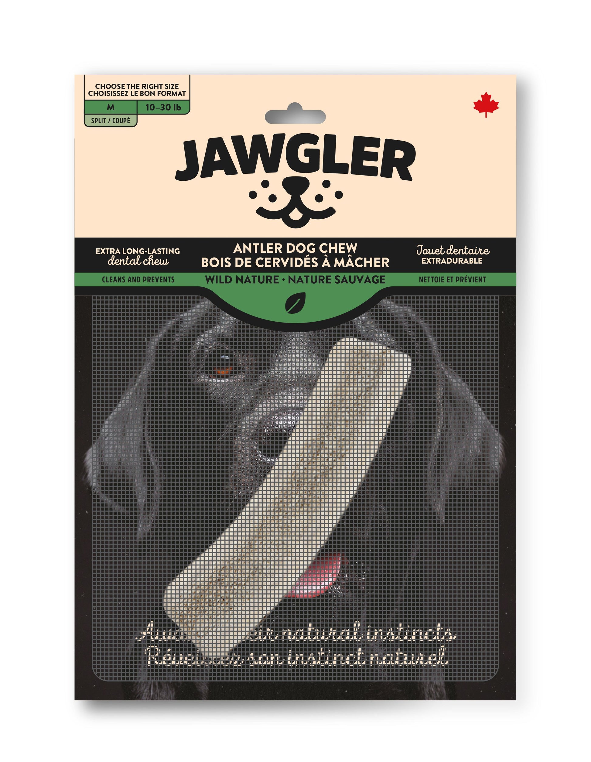 Jawgler antler dog chew natural for dogs weighing 10-30 lbs, promotes healthy chewing instincts