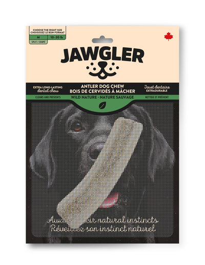 Jawgler antler dog chew natural for dogs weighing 10-30 lbs, promotes healthy chewing instincts