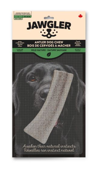 Jawgler antler dog chew natural for promoting healthy chewing habits in dogs