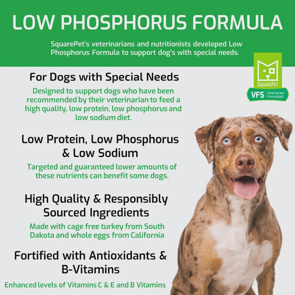 SquarePet - Low Phosphorus Dry Dog Food - 4.4 lb, 22 lb 4