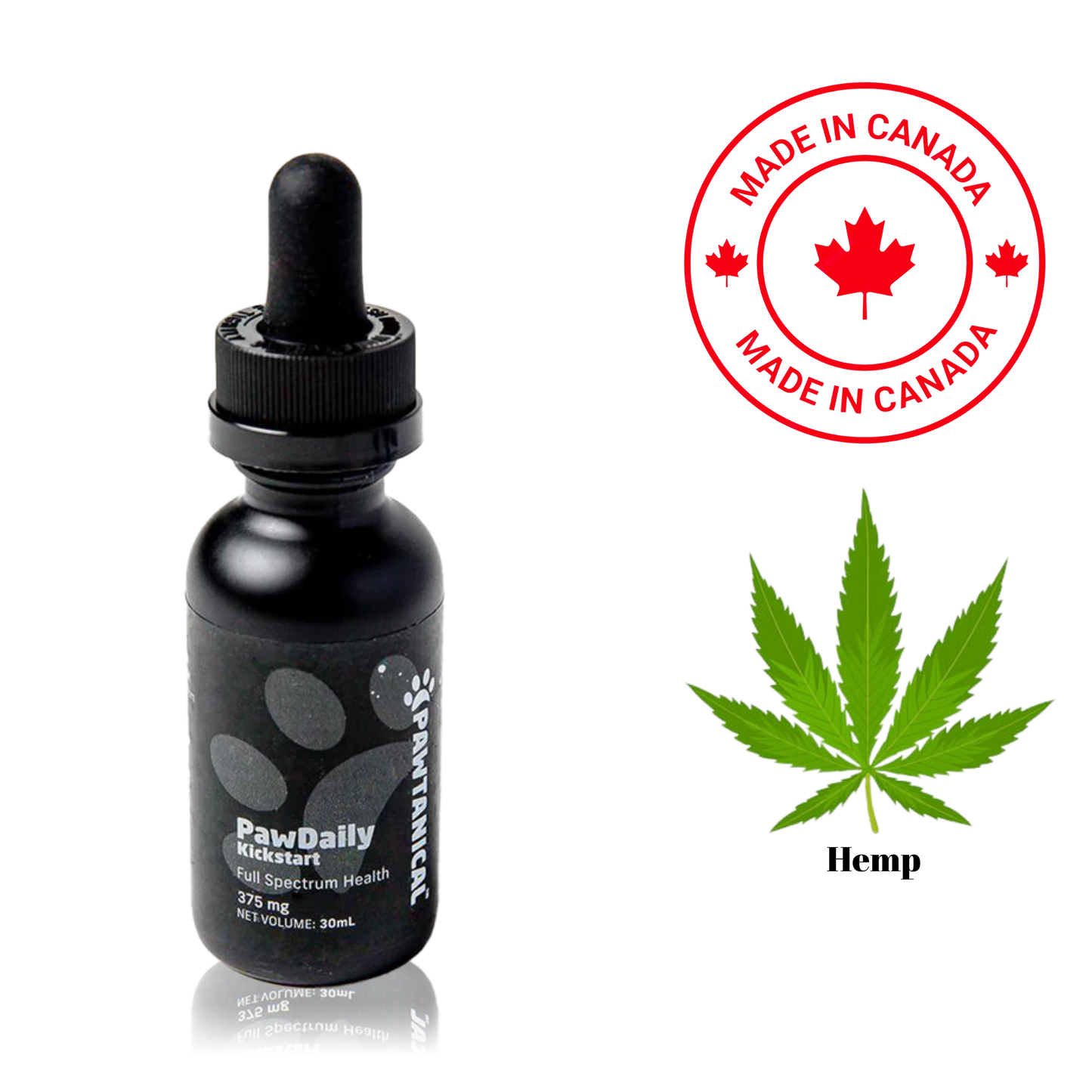 Pawtanical PawDaily hemp oil for cats in a black dropper bottle made in Canada with hemp leaf graphic