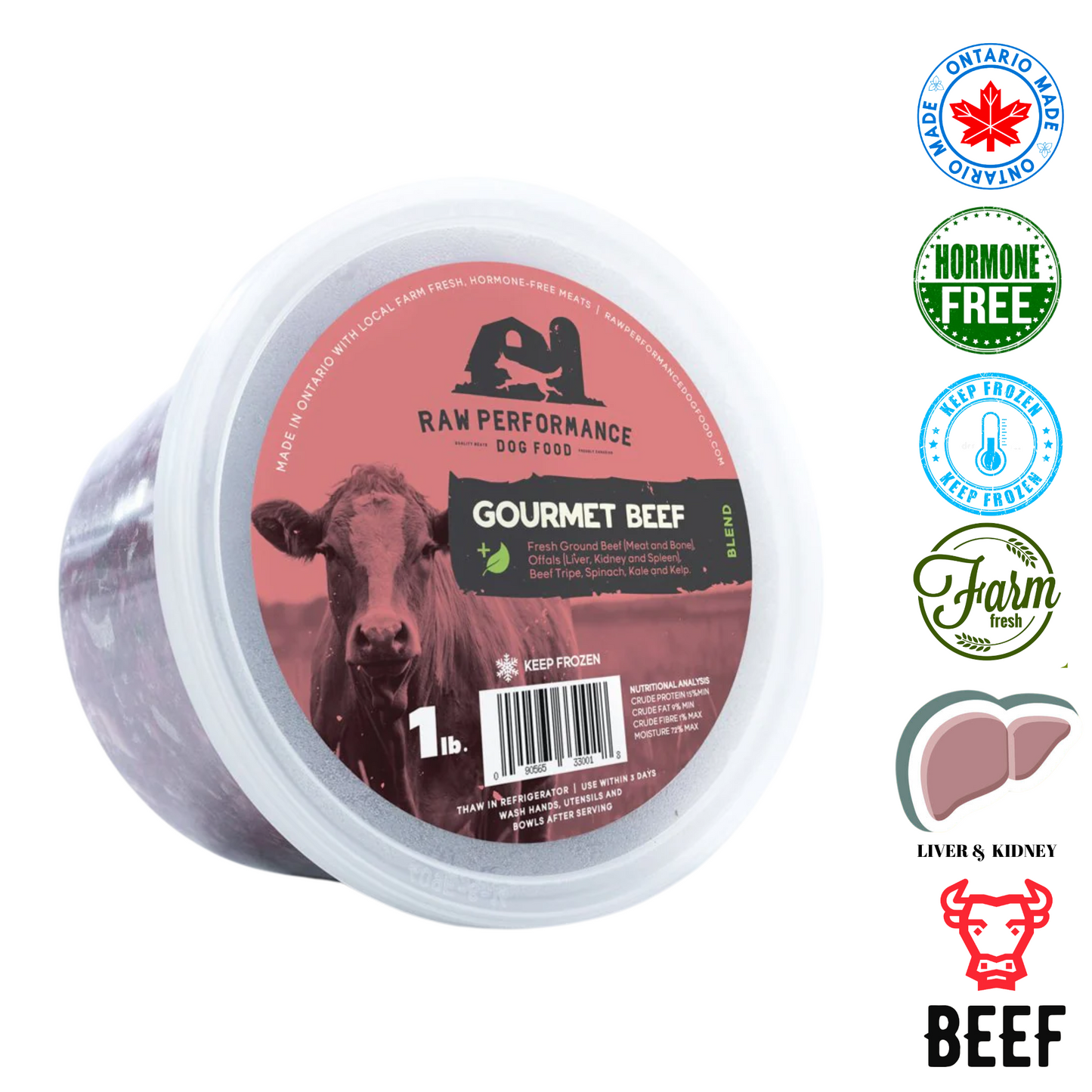 Raw Performance Gourmet Beef Raw Dog Food in a 1 lb container for healthy canine diets