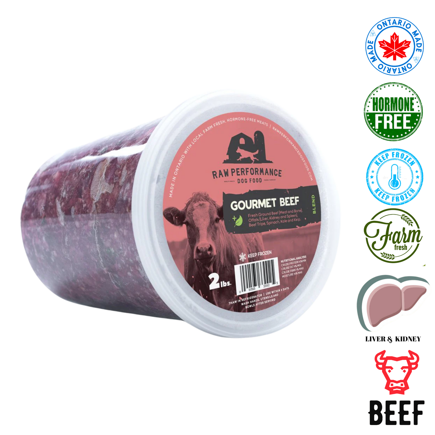 Raw Performance gourmet beef raw dog food in a 2 lb container for healthy canine nutrition