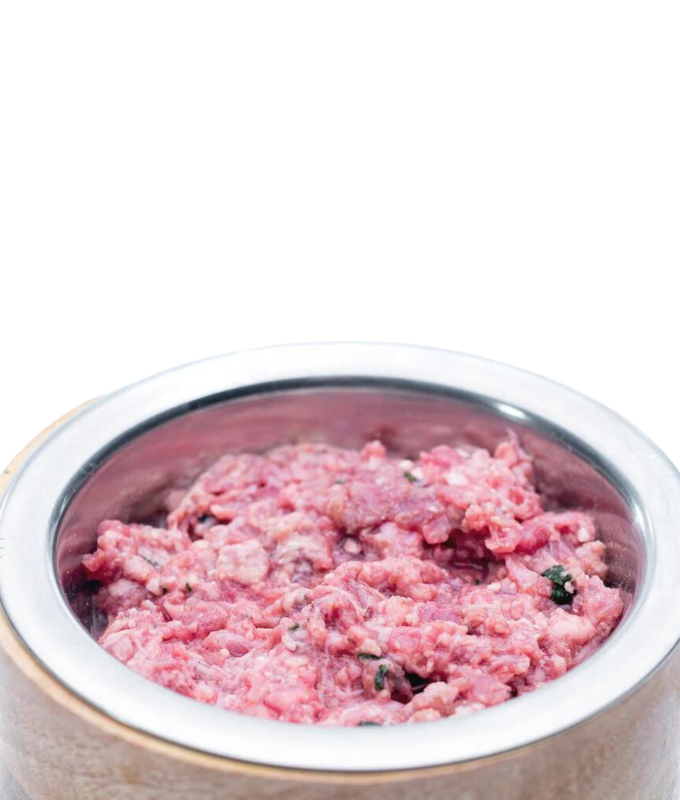 Raw Performance gourmet beef raw dog food in a stainless steel bowl, fresh and nutritious for dogs
