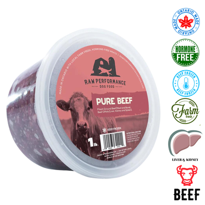Raw Performance pure beef raw dog food in a 1 lb container with fresh ground beef for dogs
