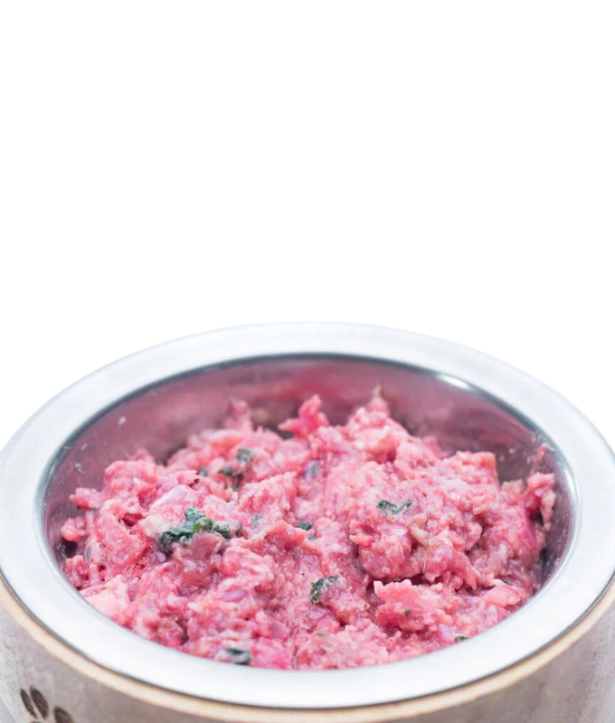Raw Performance gourmet chicken raw dog food in a stainless steel bowl, rich and nutritious for dogs