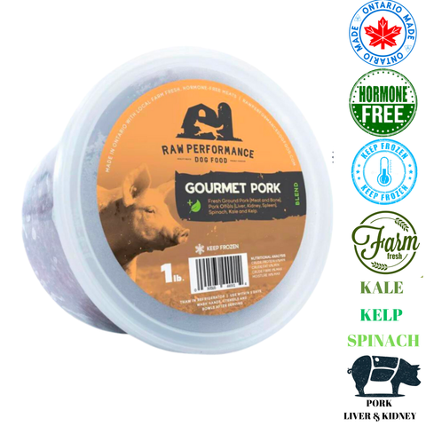 Raw Performance Gourmet pork dog food in a 1 lb tub with farm-fresh ingredients and nutrient-rich vegetables
