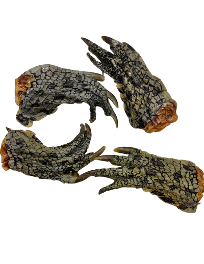 Rover Pet Crocodile Dog Chews Natural Treats for Healthy Dog Chewing and Dental Care