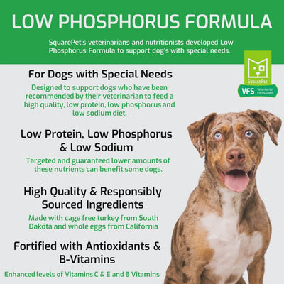 Square pet low phosphorus dog food for dogs with special needs low protein and sodium formula