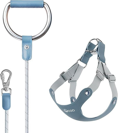 Voocoo dog harness and leash set in blue with adjustable straps and metal ring handle