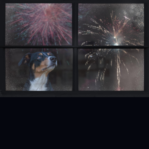 Help your furry friend stay calm during fireworks with our top tips! From creating a safe space to providing soothing music, discover effective ways to alleviate your dog's anxiety and ensure a stress-free evening.