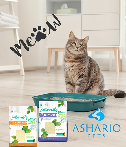 Dive into the world of sustainable litter with Sustainably Yours & OdourLock litters, available at our North York pet store. 