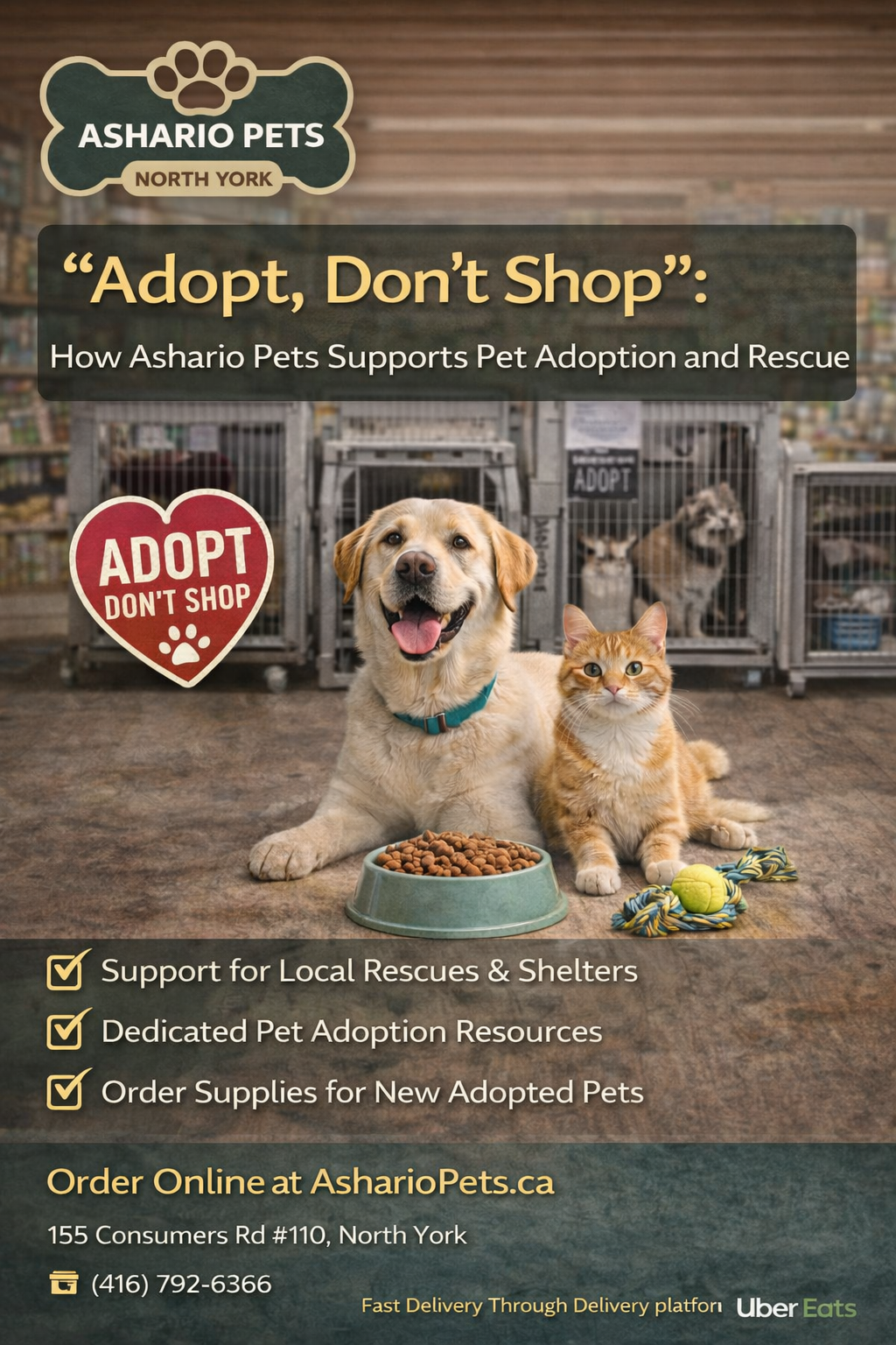 "Adopt, Don’t Shop": How Ashario Pets Supports Pet Adoption and Rescue