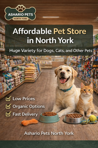 Wide Selection, Affordable Prices: Why Ashario Pets is Your One-Stop Pet Shop