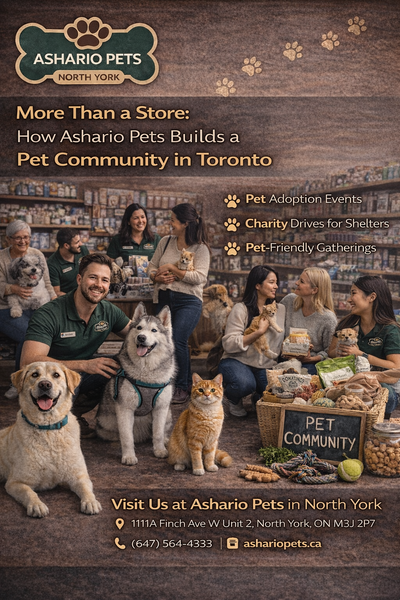 More Than a Store: How Ashario Pets Builds a Pet Community in Toronto