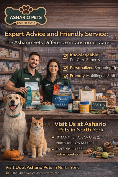 Expert Advice and Friendly Service: The Ashario Pets Difference in Customer Care