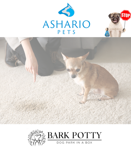 Discover Bark Potty, an eco-friendly dog potty solution at Ashario Pets Store. Made with all-natural materials, Bark Potty offers a convenient and sustainable way to meet your pet's bathroom needs indoors.