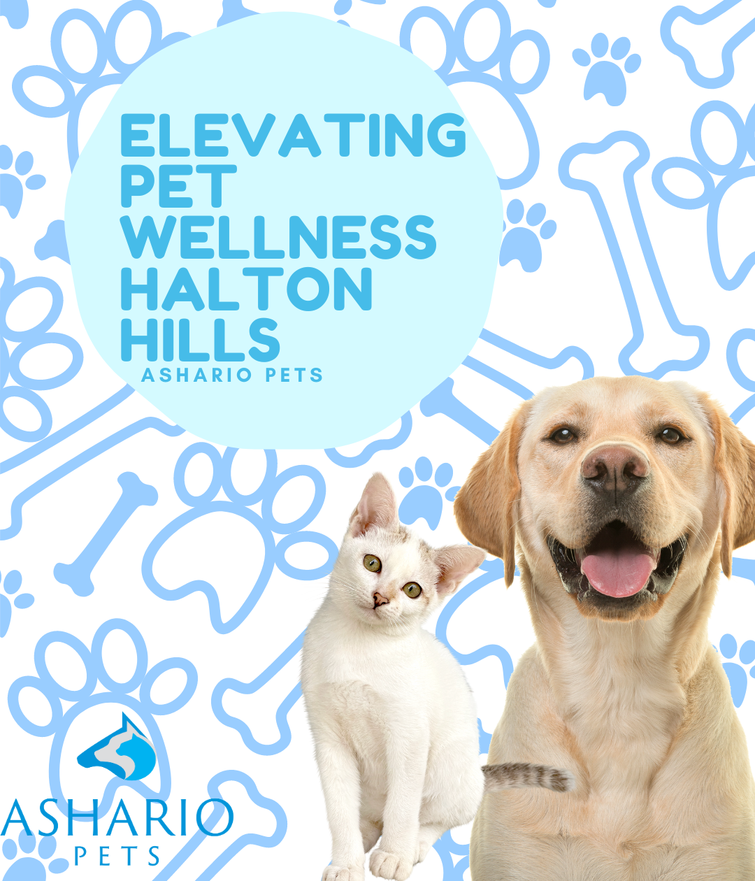 Ashario Pets stands as Halton Hills' best pet store, providing a diverse range of pet supplies and premium products.