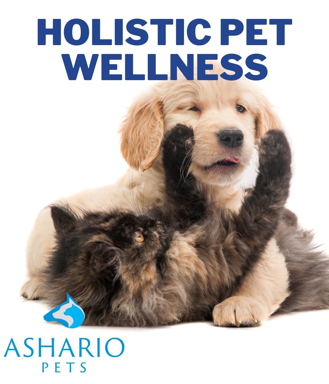 Ashario Pets in Scarborough is your destination for holistic pet supplies. With a focus on natural products and premium nutrition, we cater to your pet's overall well-being.