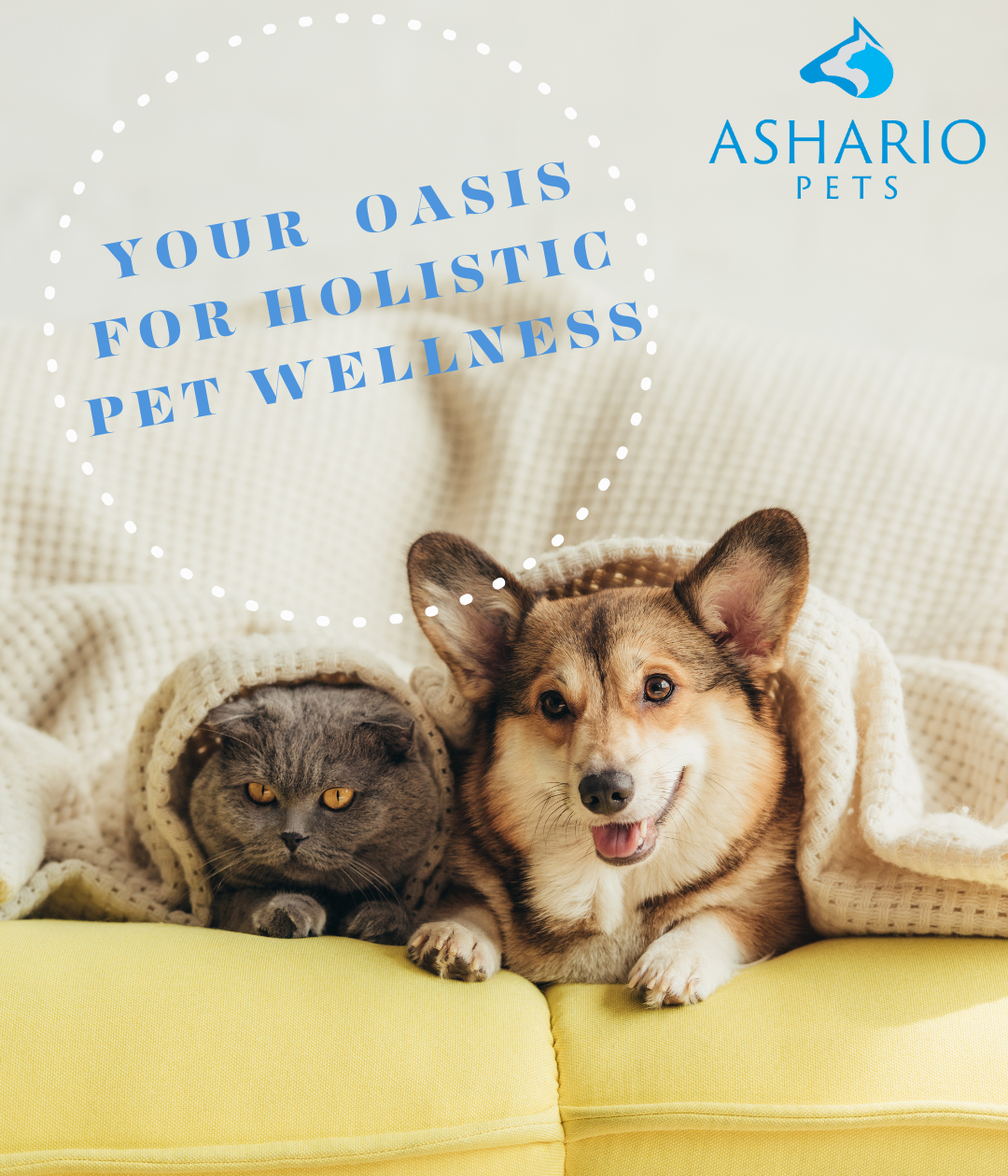 Visit Ashario Pets, conveniently situated near Georgina, offering a diverse selection of pet essentials and accessories. 