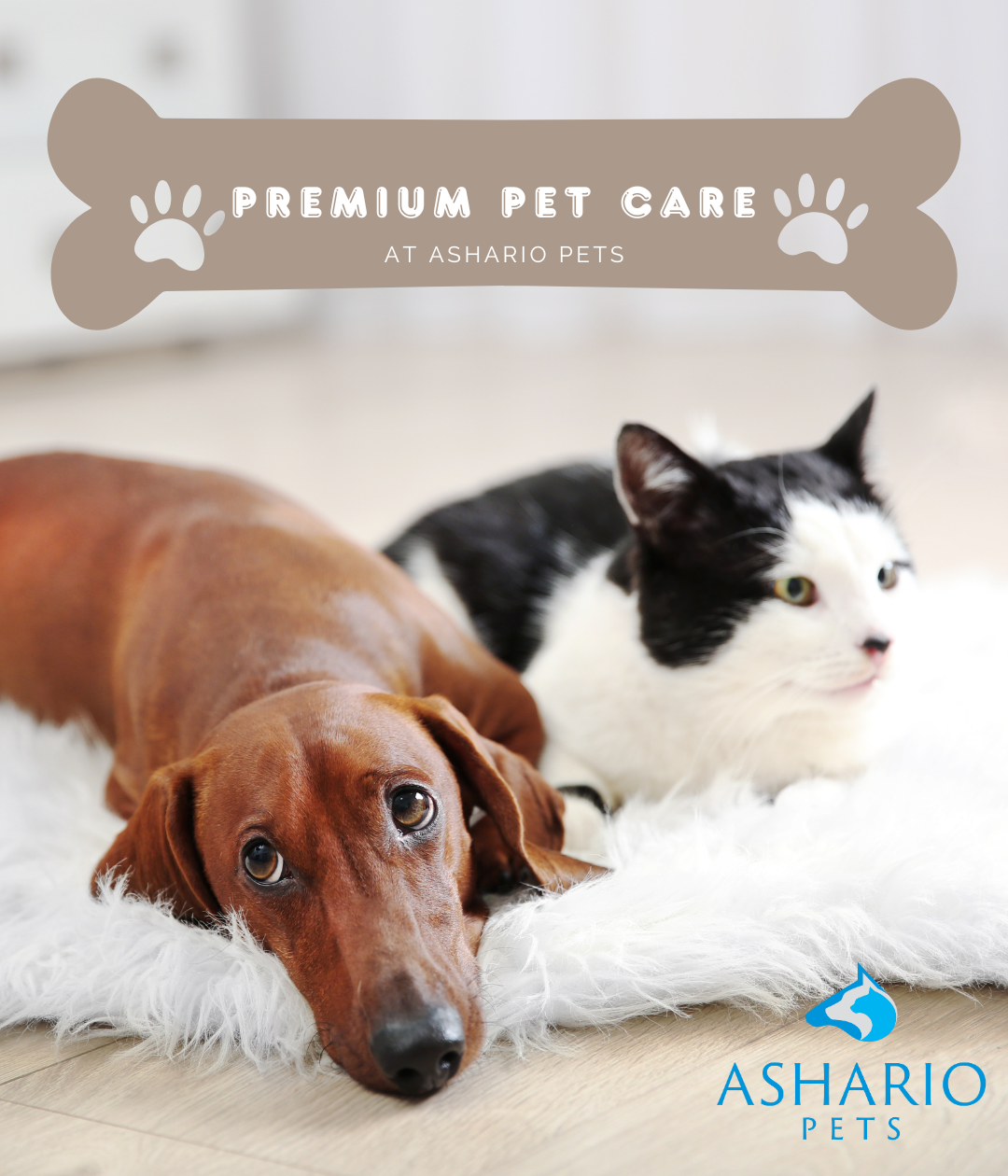 Explore Ashario Pets, conveniently situated near Keele and Finch, for a wide range of pet supplies and organic pet food options. Trust our knowledgeable staff to assist you in finding the perfect products for your pet.