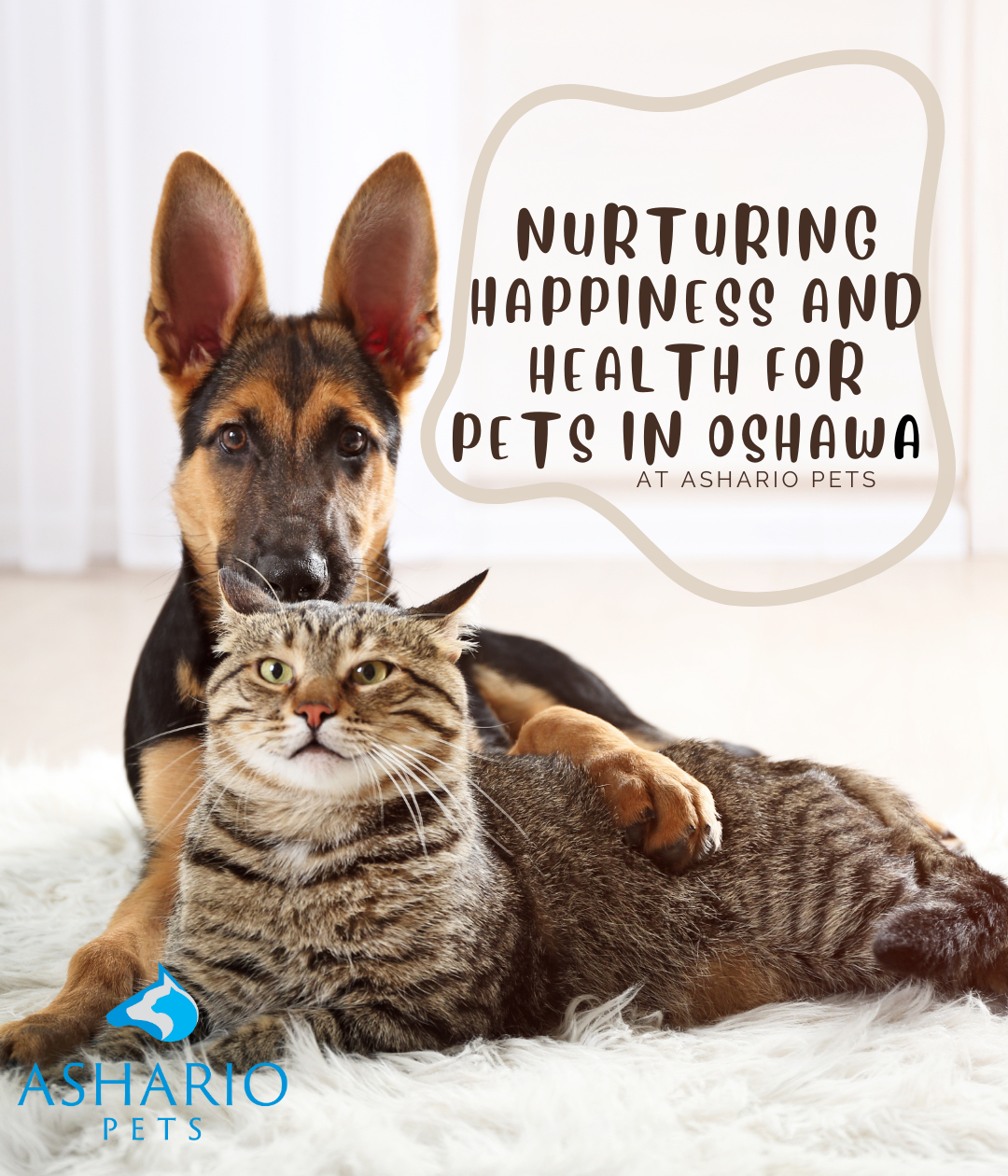 Experience pet care excellence near Oshawa at Ashario Pets. Explore our diverse inventory of premium pet products and accessories, ensuring the health and happiness of your furry friends.