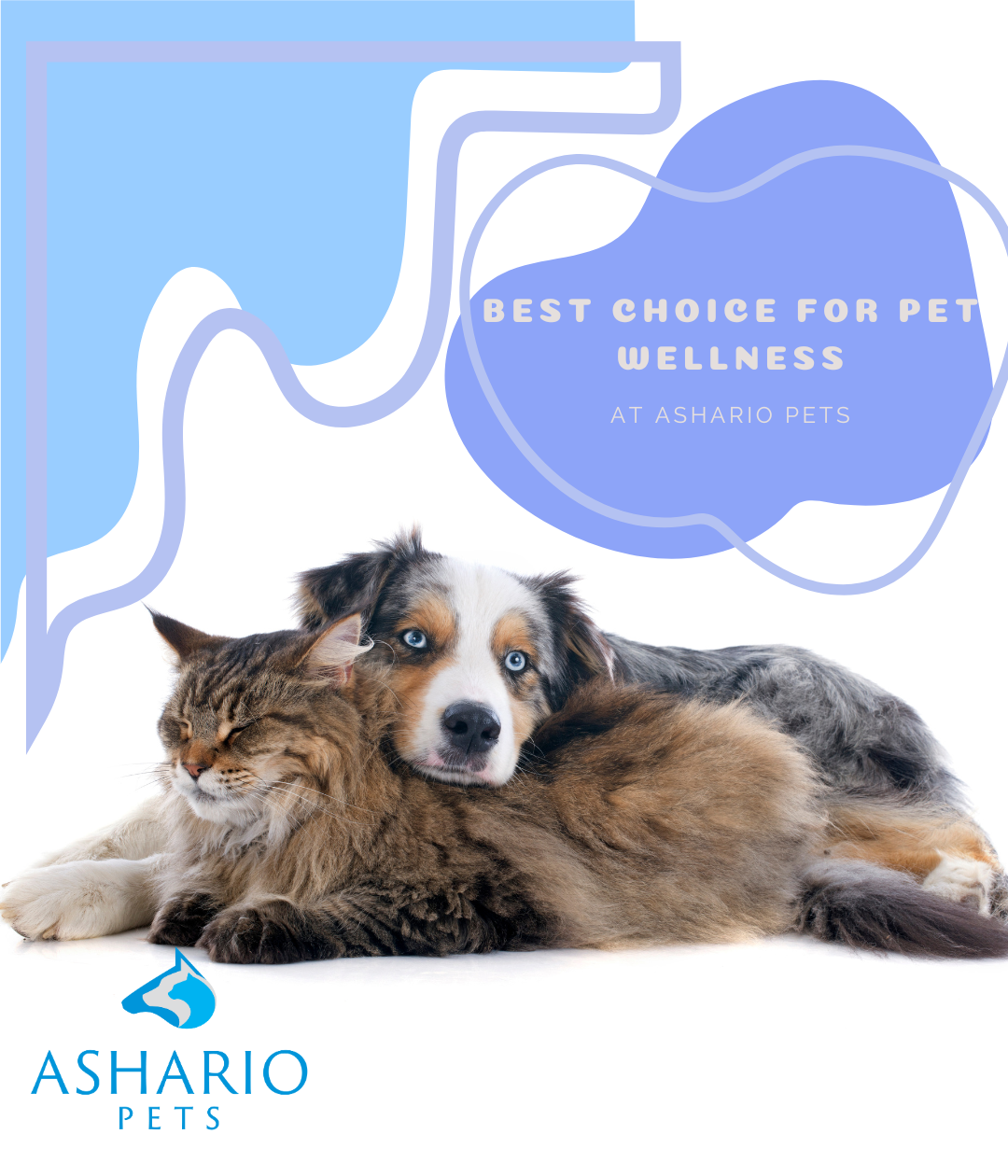 Located near Riverdale, Ashario Pets is your premier destination for holistic pet care solutions. Explore our extensive inventory of premium products and elevate your pet's well-being today.