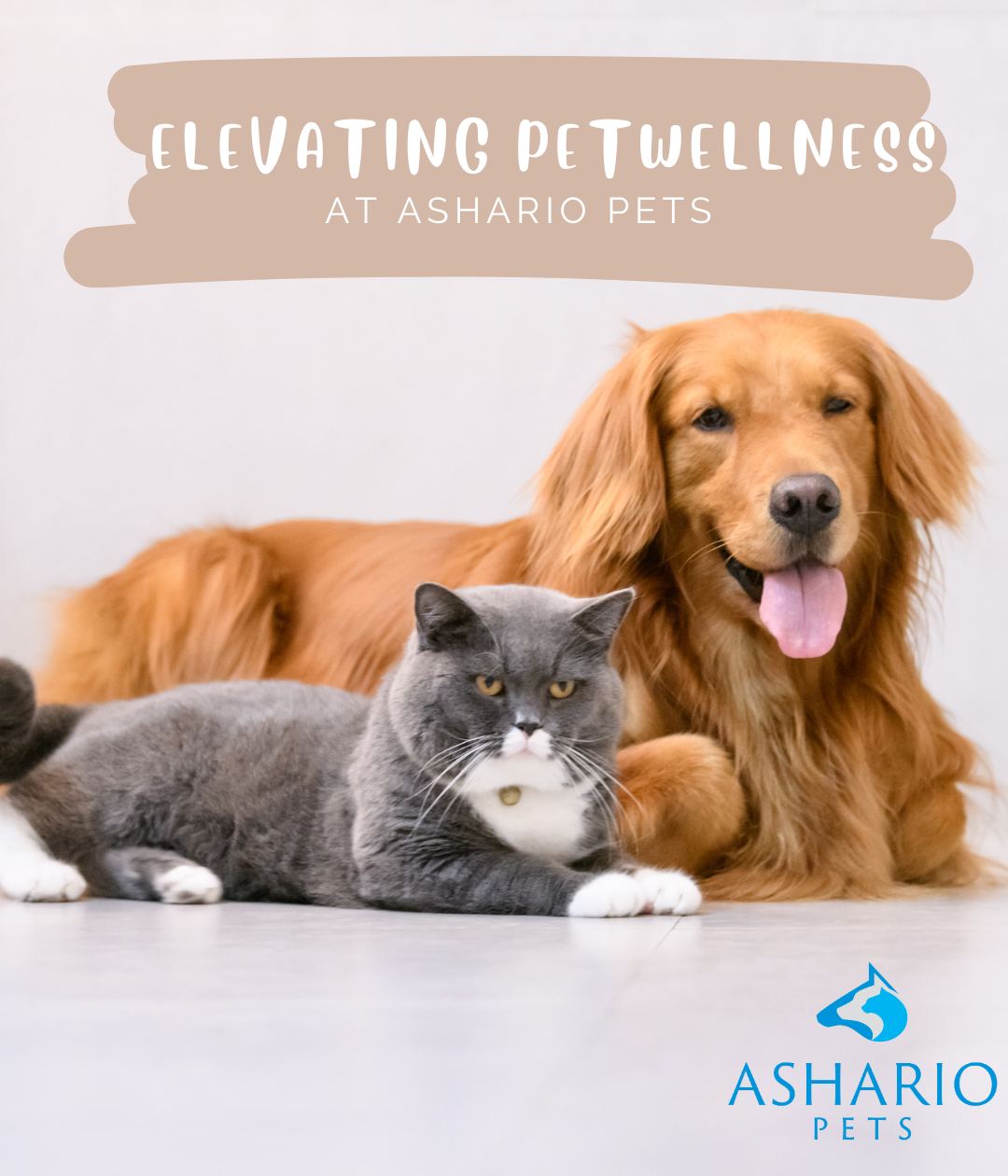 Near Uxbridge, Ashario Pets is your destination for top-quality pet essentials. With a focus on health and wellness, we offer organic pet food and accessories, ensuring your furry companions receive the best care possible.