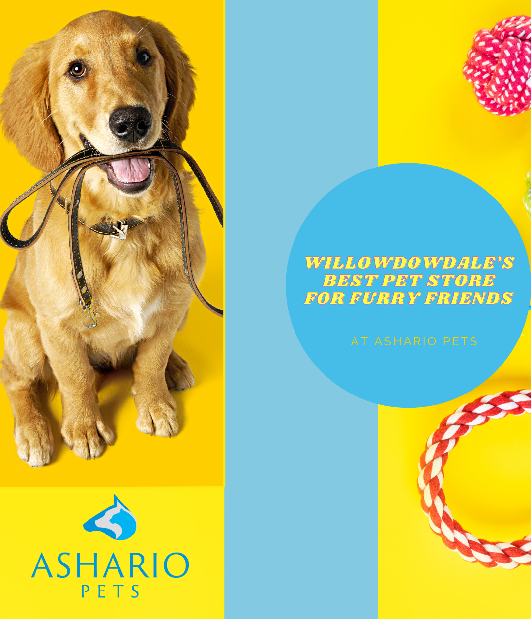 Discover a world of premium pet care at Ashario Pets, conveniently located near Willowdale.