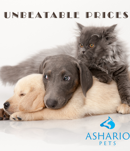 See how Ashario Pets prices compare with Pet Valu prices to make informed choices for your pet care budget. At our pet store near Finch West Subway Station, we strive to offer competitive pricing alongside exceptional service and premium products.