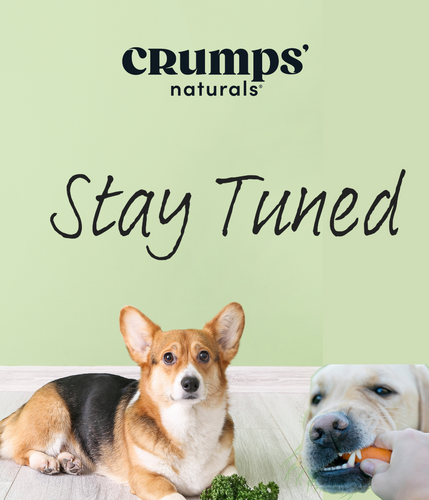 Crumps' Naturals, a spotlight brand at Ashario Pets Store, offers wholesome treats your pet will adore. With a commitment to quality and natural ingredients, Crumps ensures top-notch nutrition.