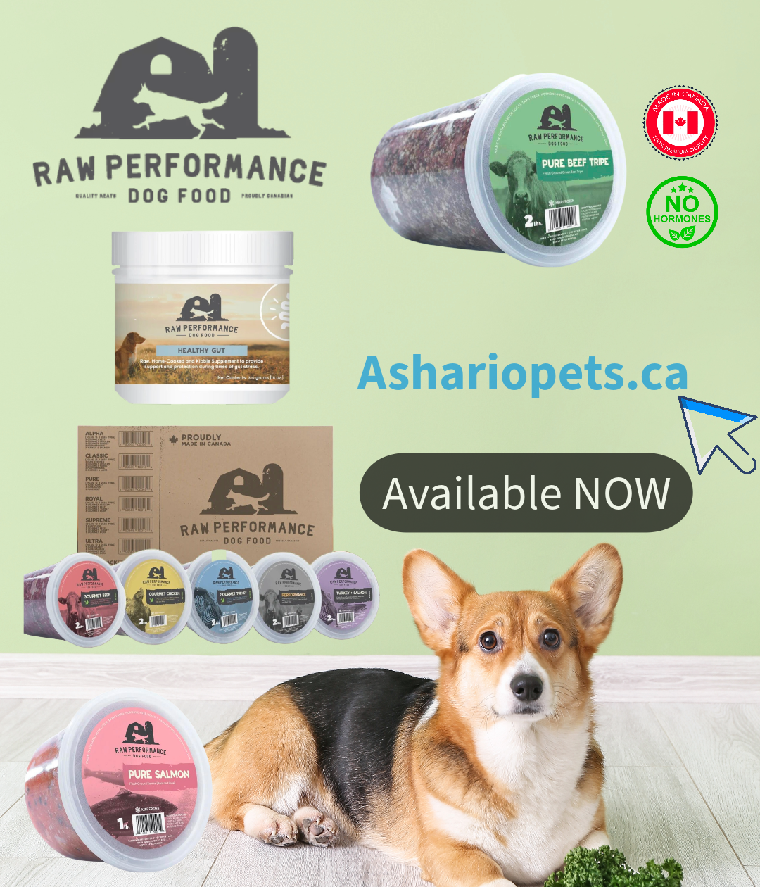 Unleash your pet's potential with Raw Performance, available at Ashario Pets Store. Crafted with premium ingredients, these products ensure your pet thrives on a diet rich in nutrients.