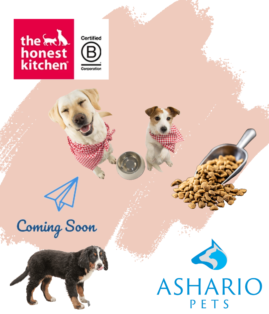 Discover The Honest Kitchen's natural pet food options at Ashario Pets Store. With wholesome ingredients and human-grade recipes, The Honest Kitchen ensures your pet's health and happiness.