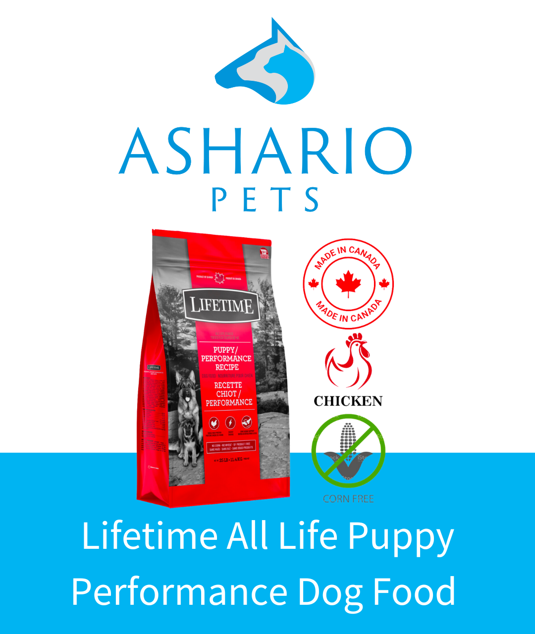 Ashario Pets Store presents Lifetime All Life Puppy Performance Dog Food, a top-quality option for your furry friend. 