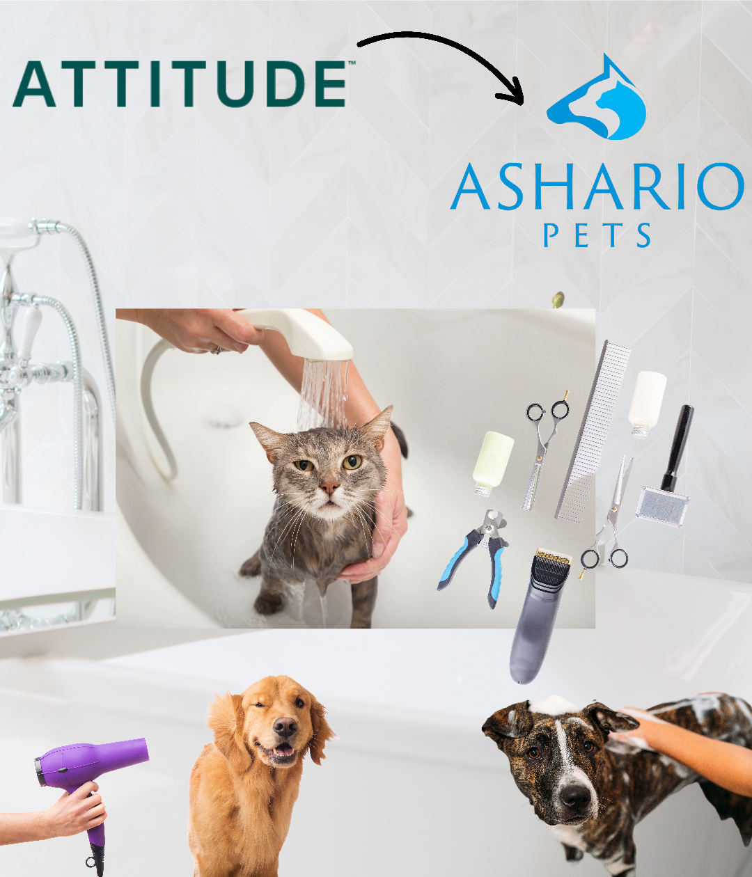 Experience a new era in pet grooming and cleaning with Attitude products at Ashario Pets Store.