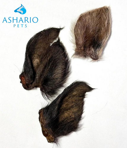 Treat your dog to premium Boar Ear dog treats at Ashario Pets. Made with quality ingredients, these treats promote dental health and provide hours of chewing enjoyment.