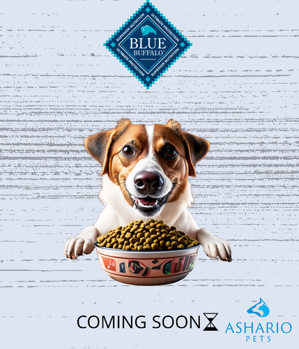 Discover the superior quality of Blue Buffalo pet food at Ashario Pets Store. With a commitment to natural ingredients and balanced nutrition, Blue Buffalo ensures optimal health and happiness for your furry friends.