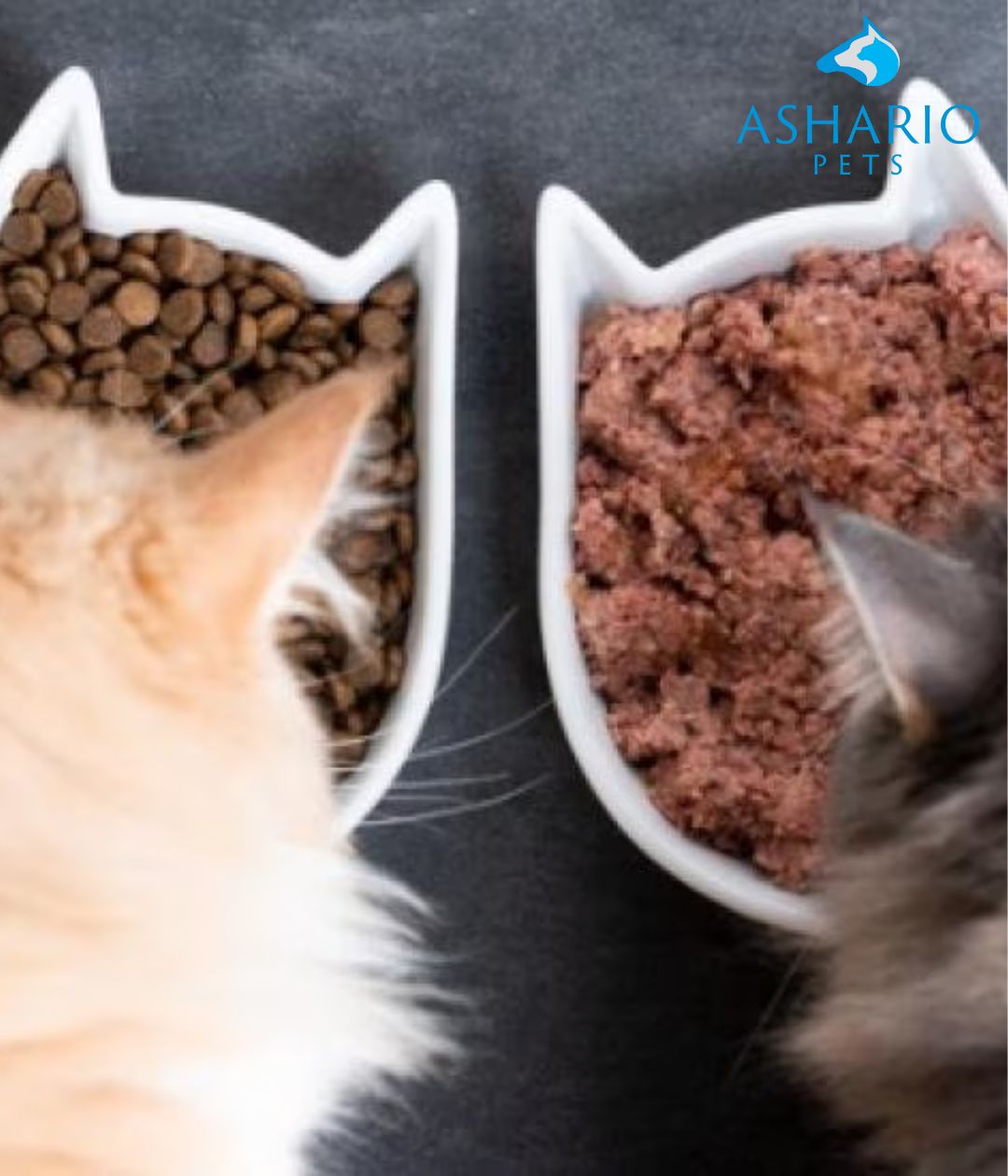 "Learn about the effects of mixing wet cat food with dry dog food on your pets' health. Understand the importance of tailored nutrition for cats and dogs, and find quality pet products at Ashario Pet Store in North York.