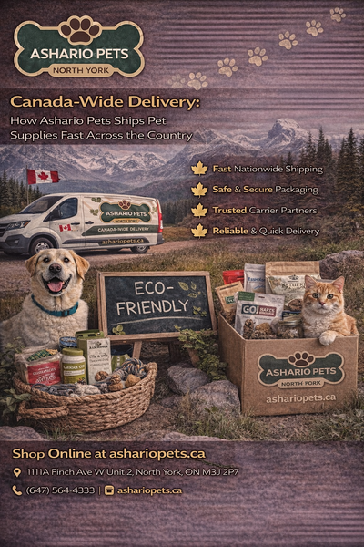 Canada-Wide Delivery: How Ashario Pets Ships Pet Supplies Fast Across the Country