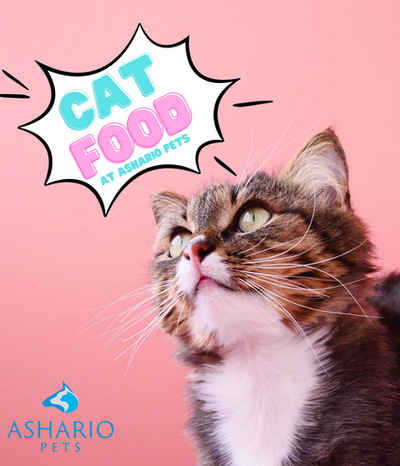 Find premium cat food near Finch Avenue at our specialized cat food store. Explore organic options and expert advice for your feline companion's health and wellness.