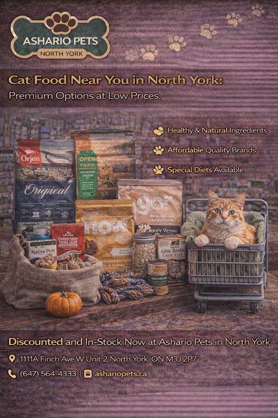 Cat Food Near You in North York: Premium Options at Low Prices